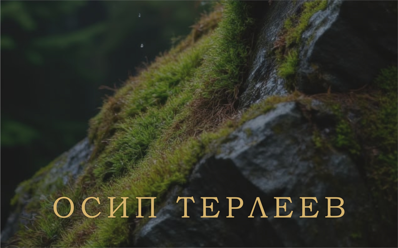 Предпросмотр сертификата